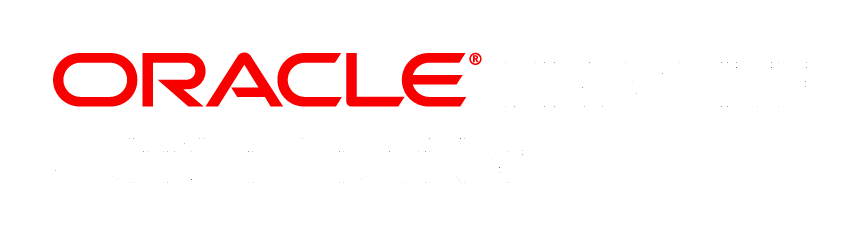 Logo Oracle NetSuite Solution Provider